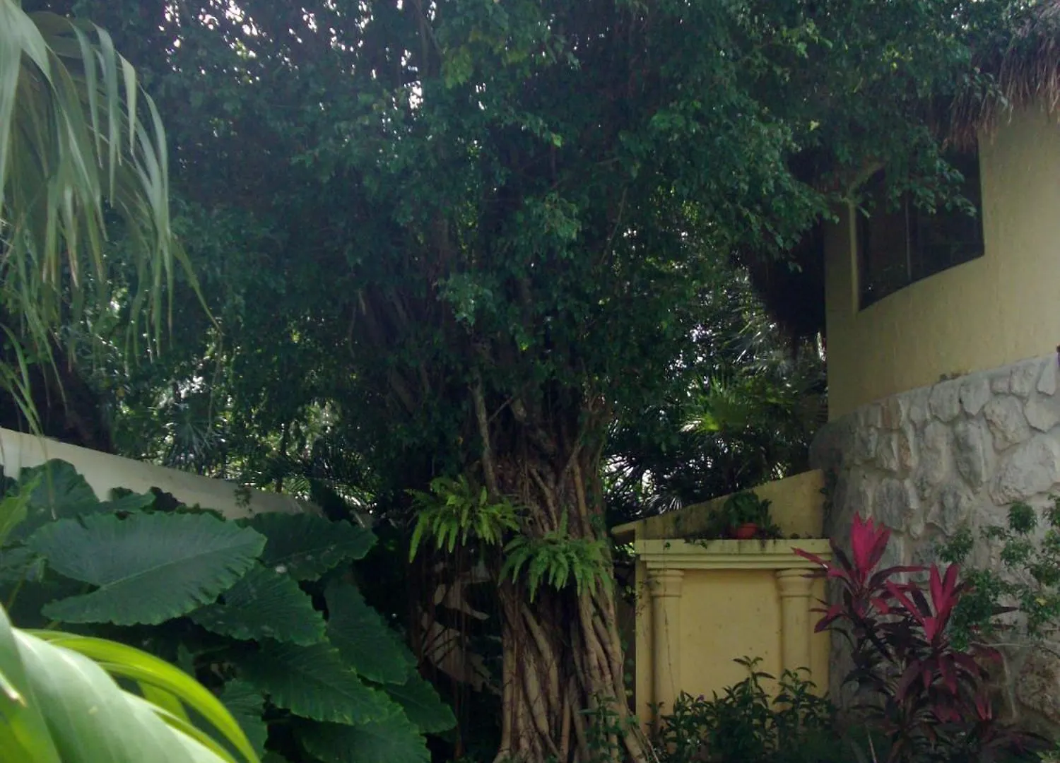 Guest house Residencia Los Encantos Cancun
